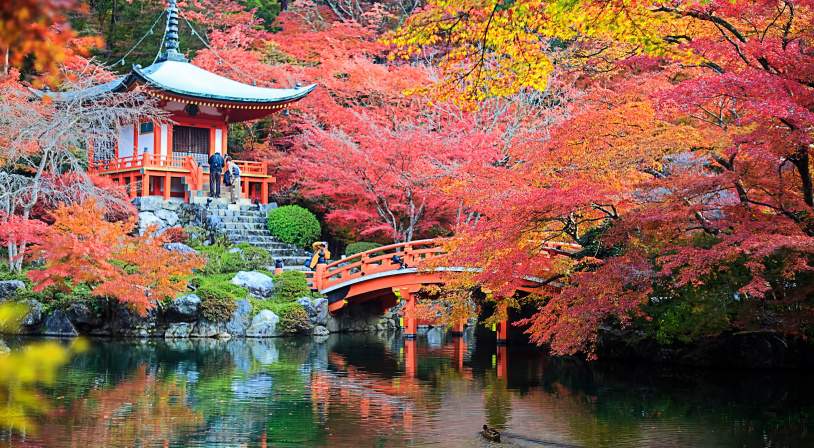 Colonie de vacances itinérantes japon